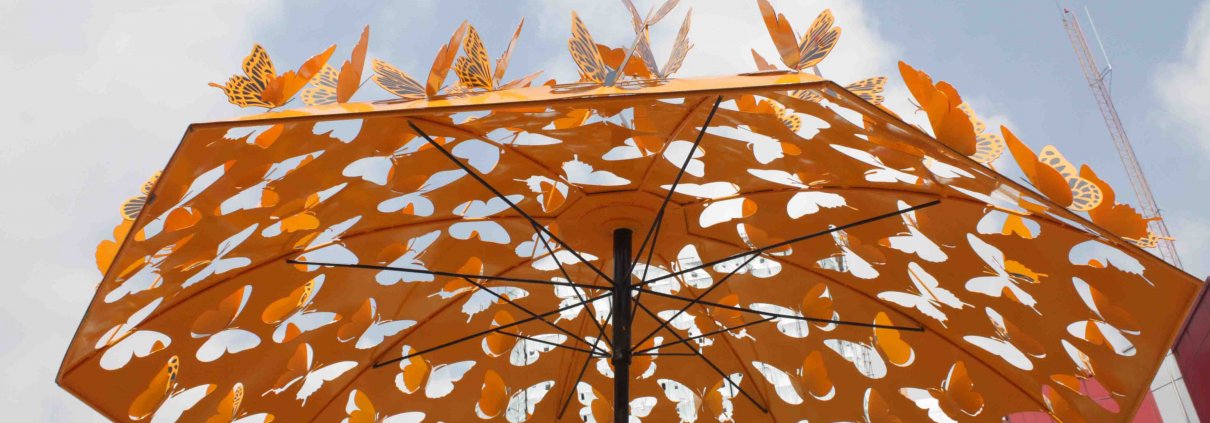 umbrella 1