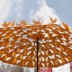 umbrella 1